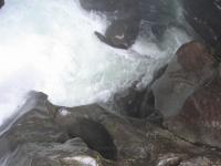 Albums/20060200-New Zealand 2006/20060210-Te Anau to Milford/23